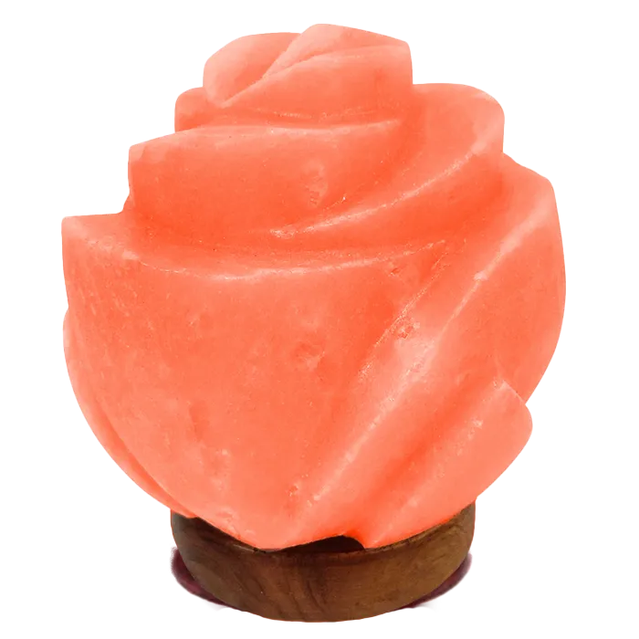 Pink-salt-flower
