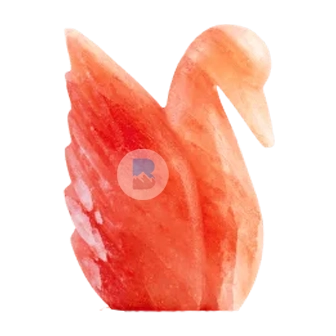 pink-salt-duck-shape